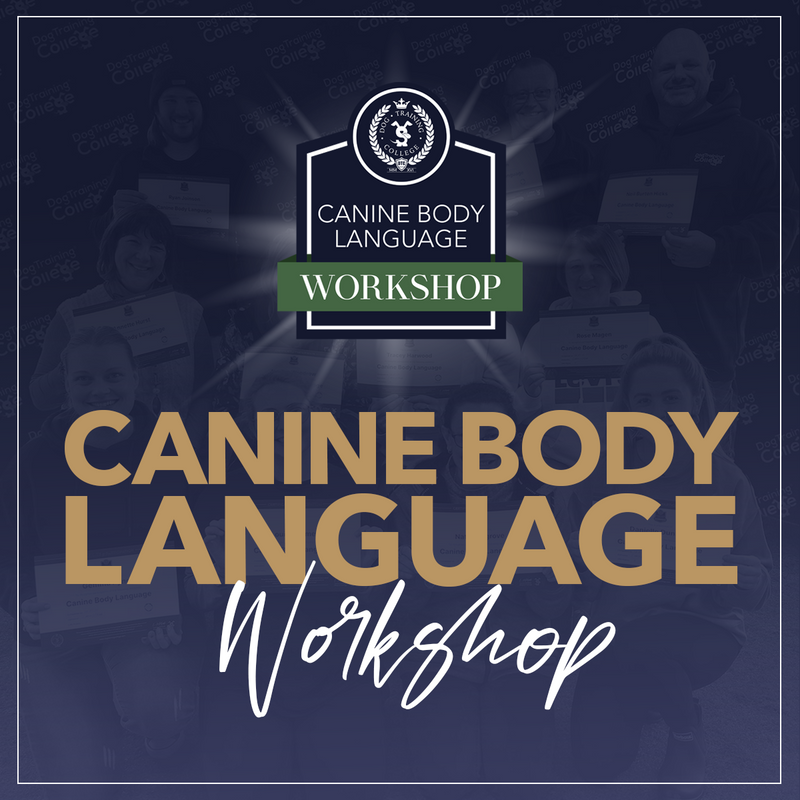 Canine Body Language Workshop - Dog Training College 