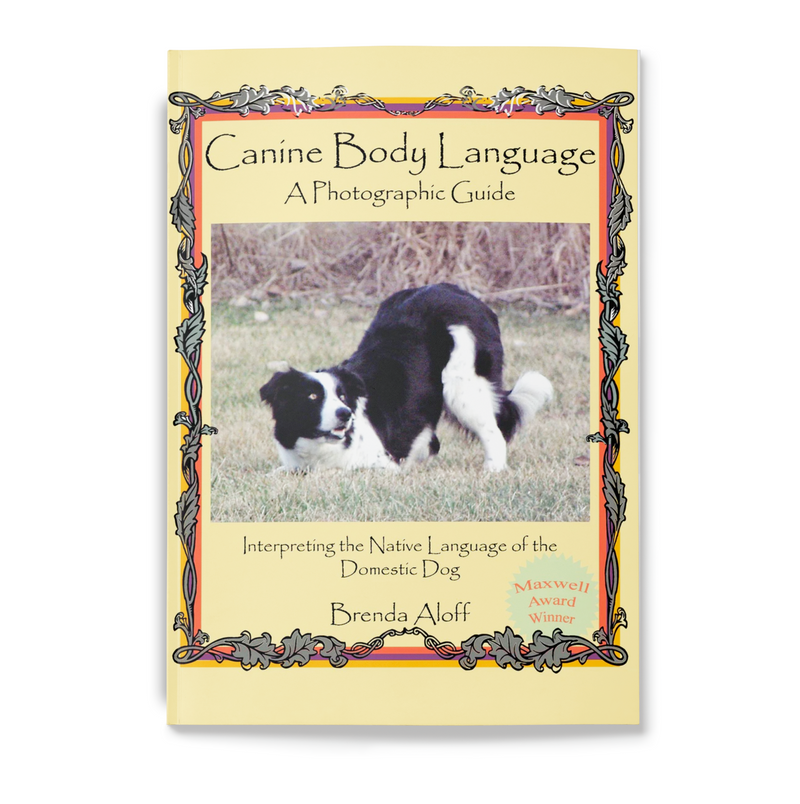 CANINE BODY LANGUAGE - A PHOTOGRAPHIC GUIDE - Dog Training College 
