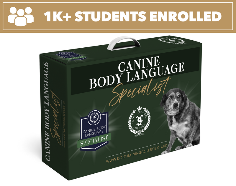 Canine Body Language Specialist Program - Dog Training College 