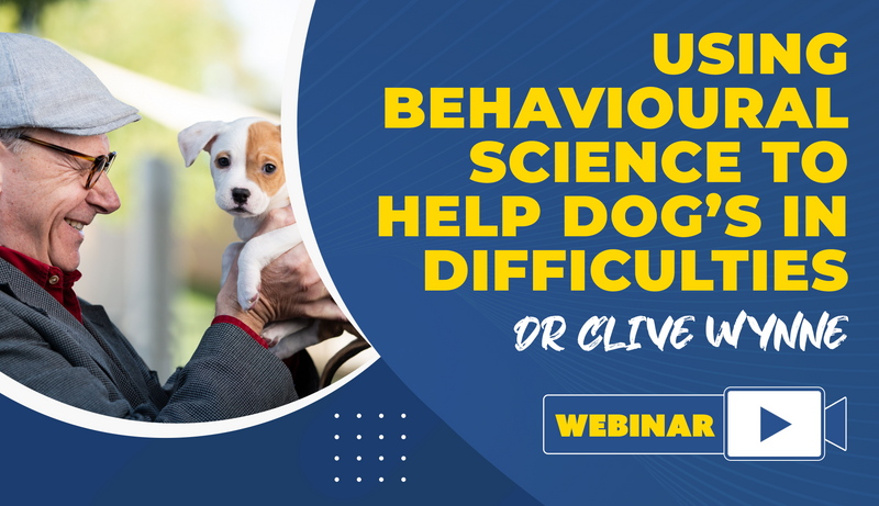 Using Behavioural Science to Help Dog’s In Difficulties - Dog Training College 