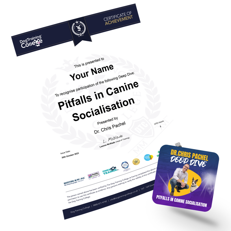 Certificate of Participation - Dog Training College 