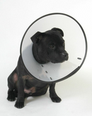 MDC Smart Collar - Dog Training College 