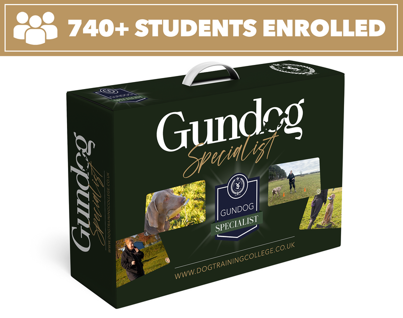Gundog Specialist Program - Dog Training College 