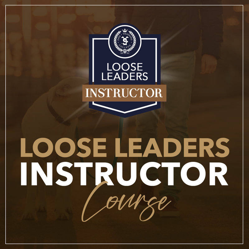 Loose Leaders Instructor Course - Dog Training College 