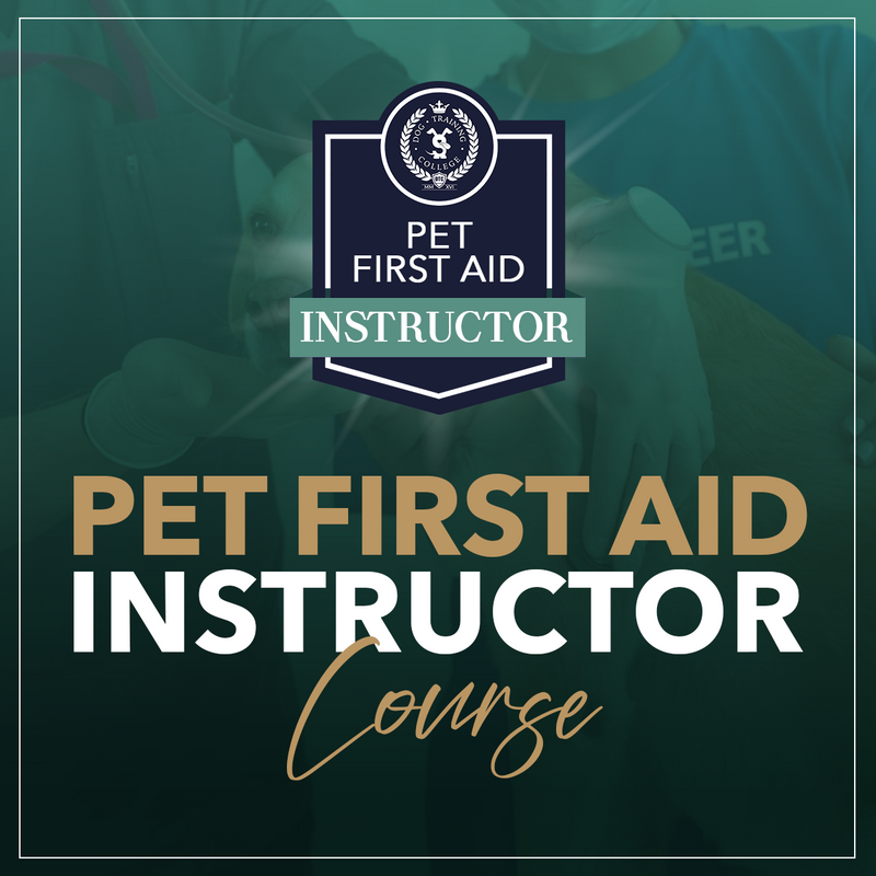 Pet First Aid Instructor Course - Dog Training College 