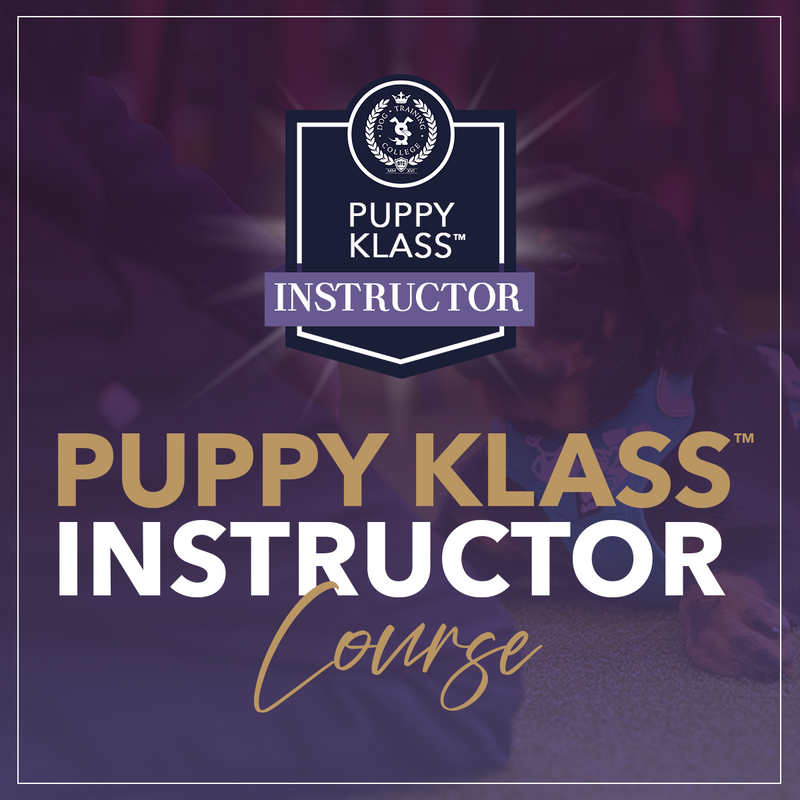 Puppy Klass™ Instructor Course - Dog Training College 