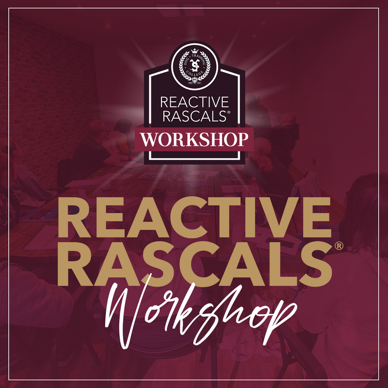Reactive Rascals® Workshop - Dog Training College 
