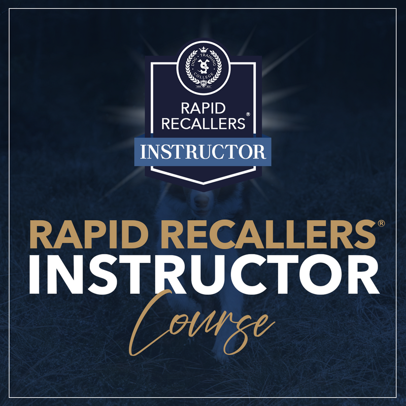 Rapid Recallers® Instructor - Dog Training College 