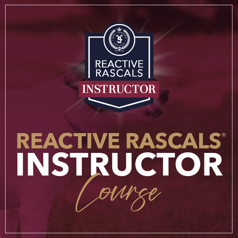 Reactive Rascals® Instructor - Dog Training College 