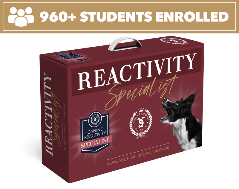 Reactivity Specialist Program - Dog Training College 