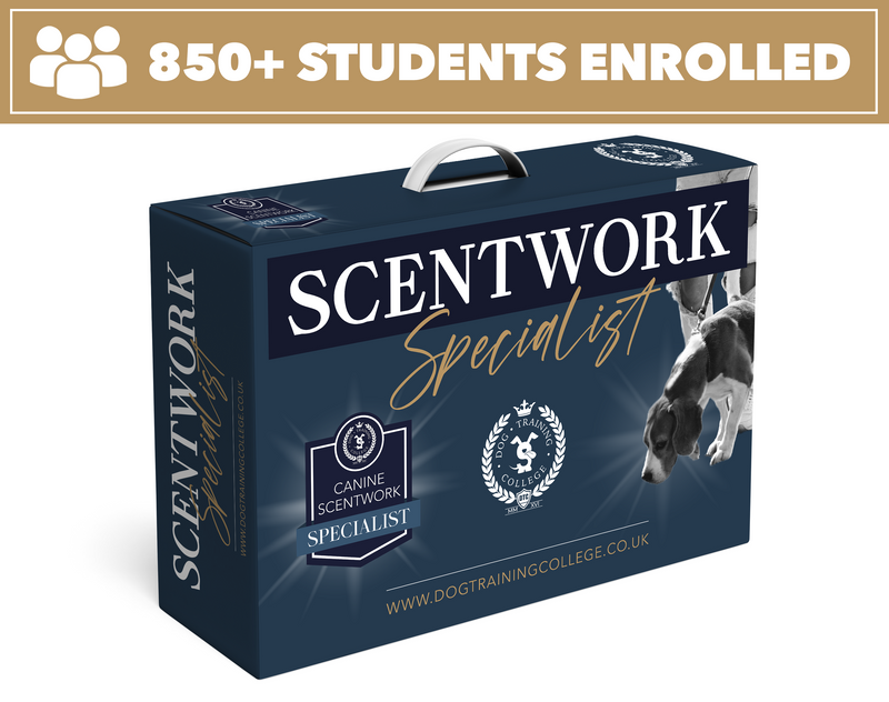 Scentwork Specialist Program - Dog Training College 
