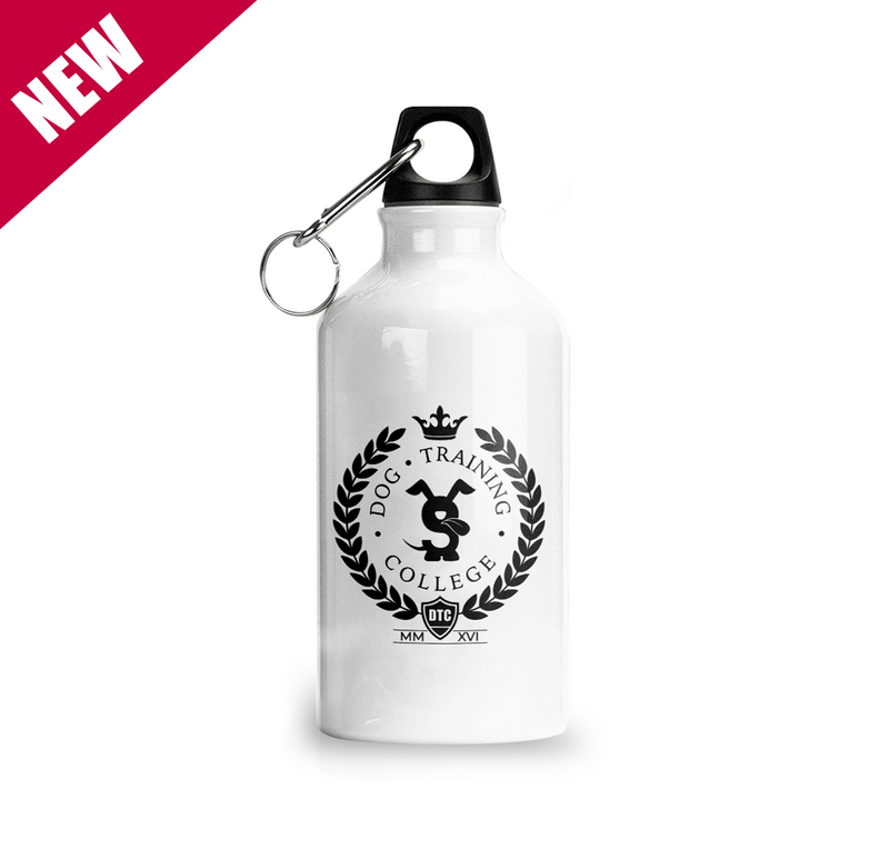 DTC Aluminium Water Bottle