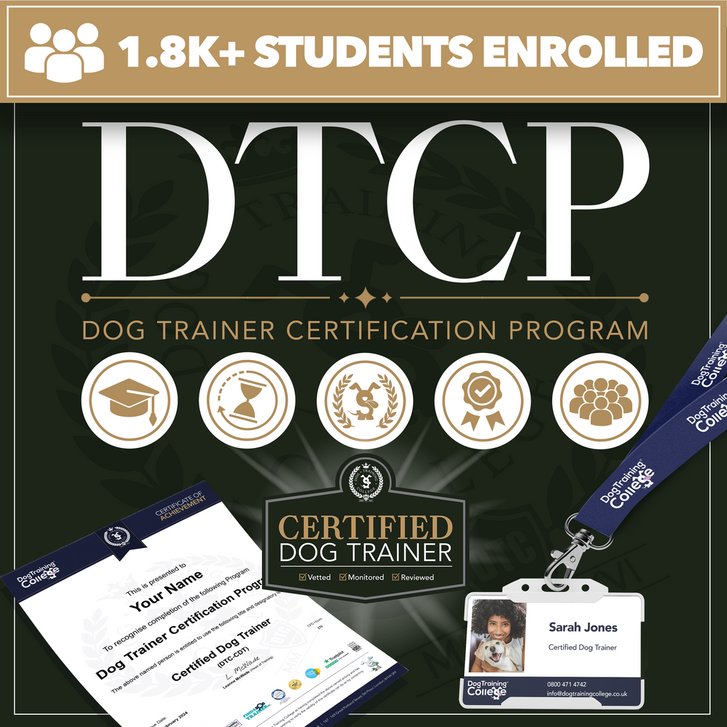 Certified professional dog trainer near deals me