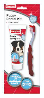 Puppy Dental Kit - Dog Training College 