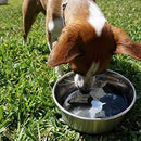 Dog Rocks Lawn Burn Supplement 100g (for little dogs up to 7kg) - Dog Training College 