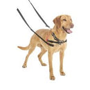 Halti Training Lead Black Large - Dog Training College 
