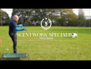 Scentwork Specialist Program