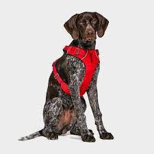 Ruffwear Front Range Harness - Dog Training College 