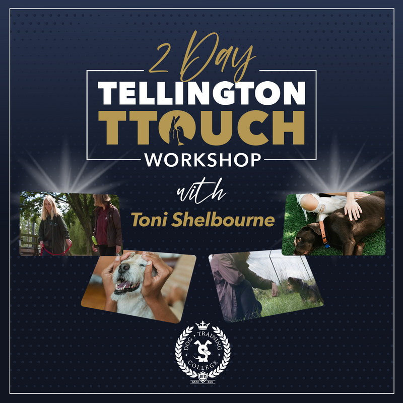 2 Day Tellington TTouch Workshop