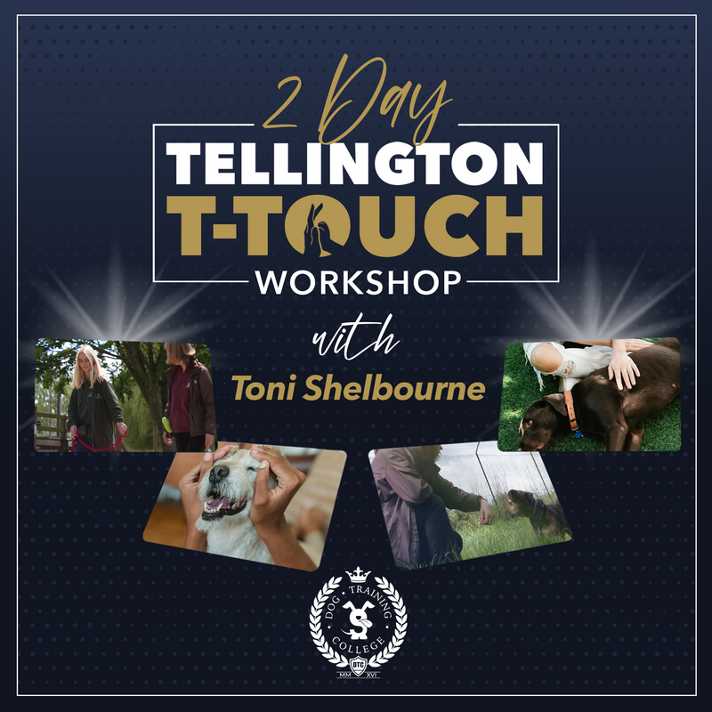 2 Day Tellington T-Touch Workshop