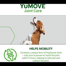 YuMove Joint Care for Adult Dogs - 60 Tablets - Dog Training College 