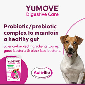 Digestive care for dogs sale
