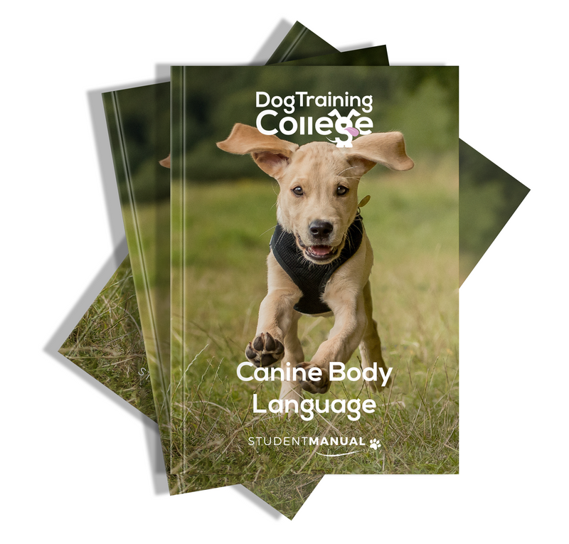 Canine Body Language - Student Manual - Dog Training College 