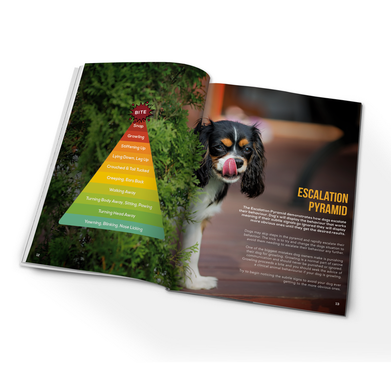 Reactive Rascals - Student Manual - Dog Training College 