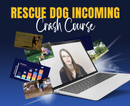 Rescue Dog Incoming - Dog Training College 