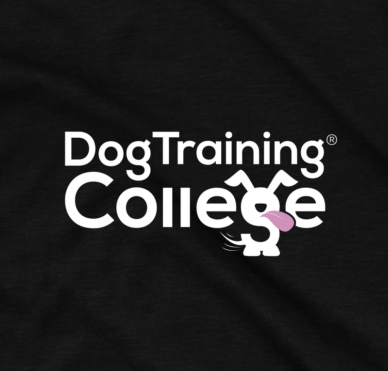 DTC Tee - Dog Training College 